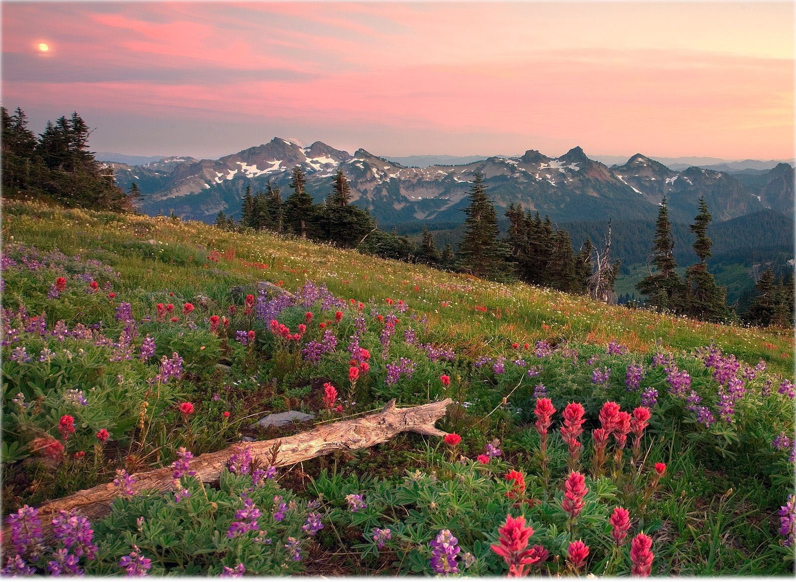 Natural Scenery Desktop Wallpaper - Mount Rainier - HD Wallpaper 