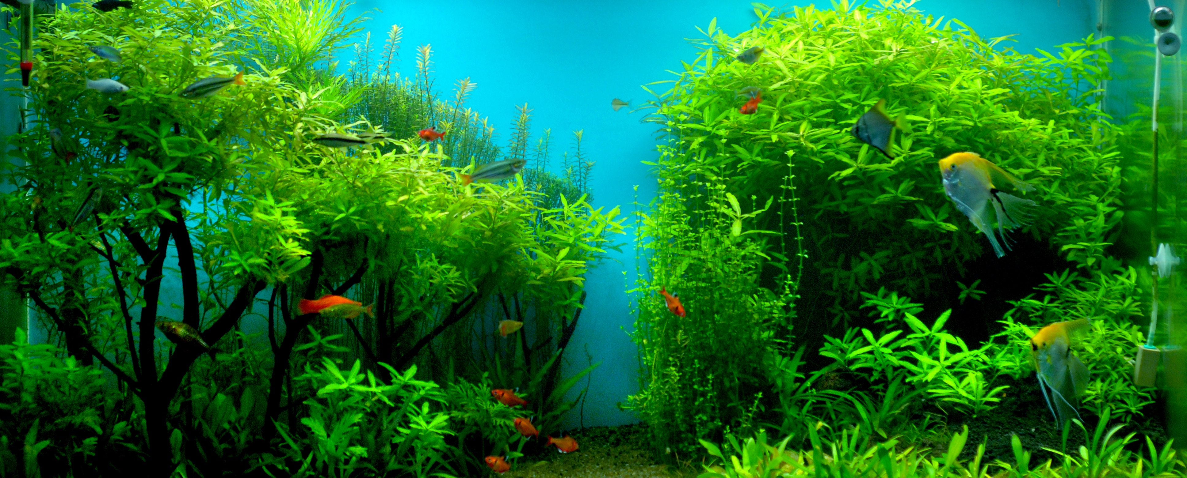 Very Beautiful Wallpaper - HD Wallpaper 