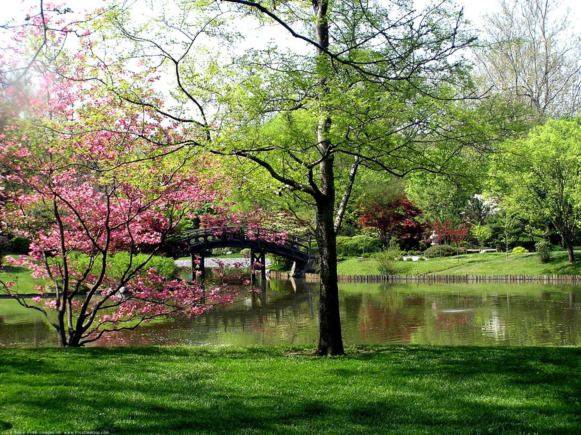 Springtime Nature Spring Backgrounds - HD Wallpaper 