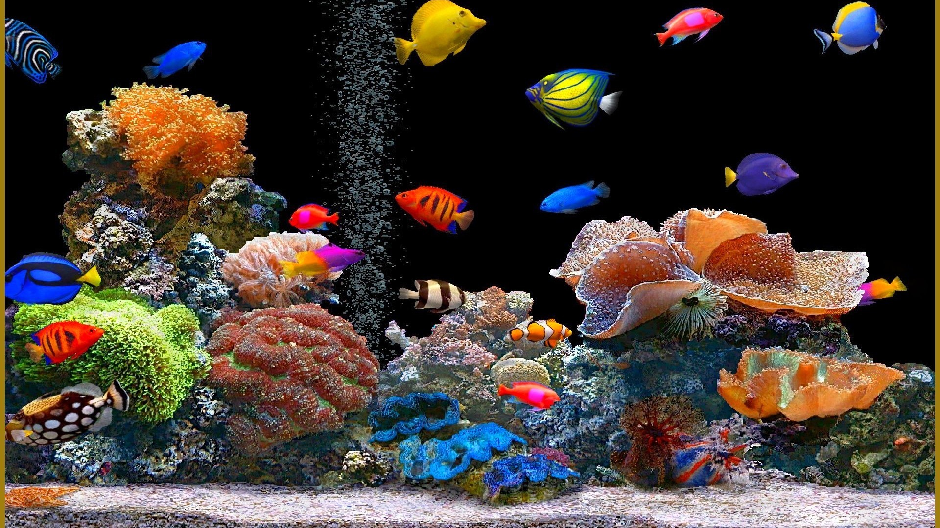 Animated Desktop Wallpaper Fish For Windows - Animated Fish Tank - HD Wallpaper 