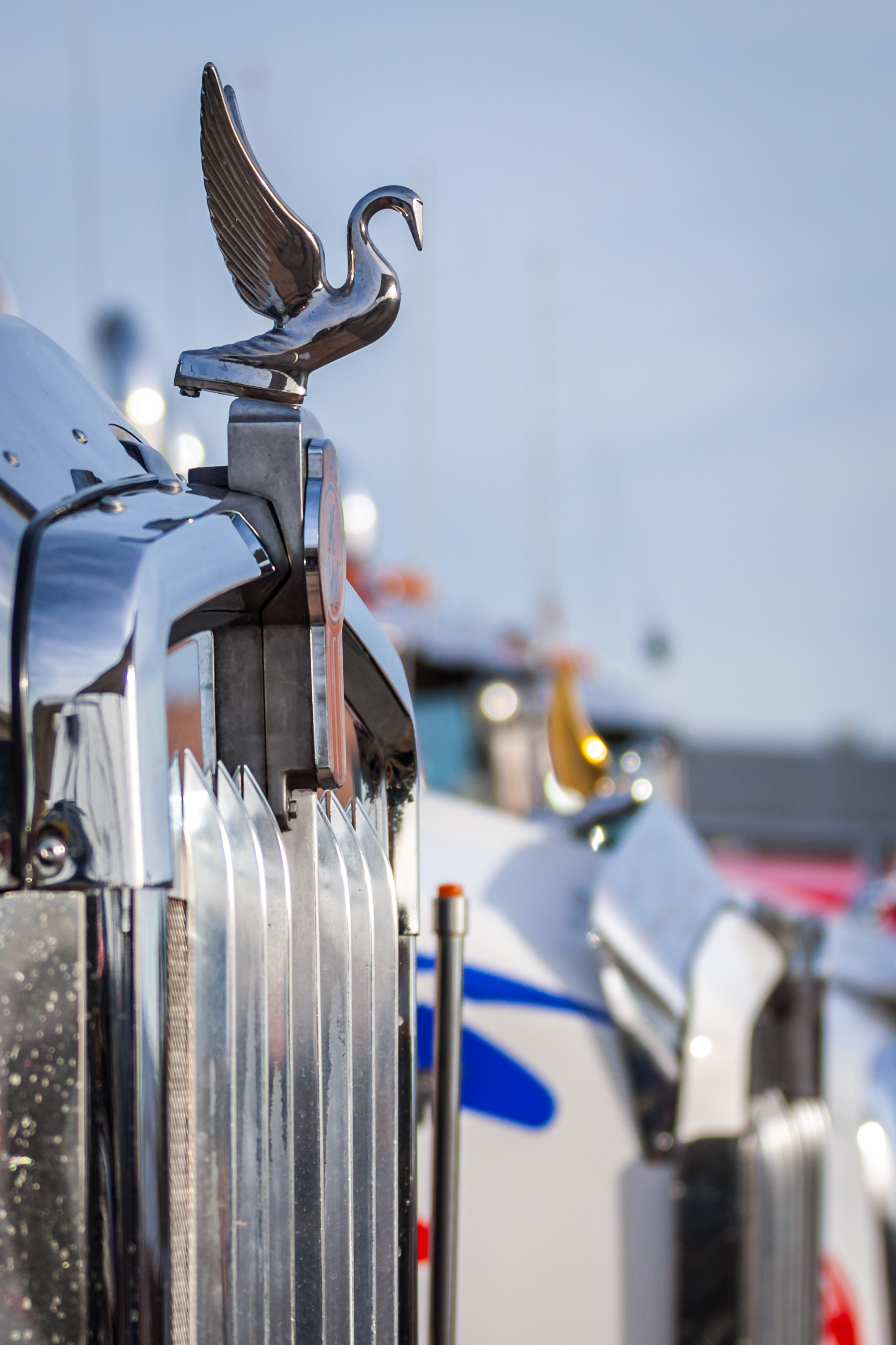 Kenworth Logo - HD Wallpaper 