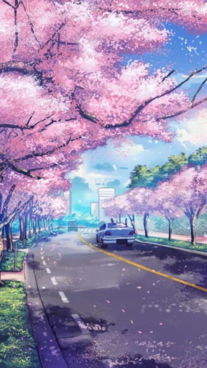 Painting Of A Road, With Pink Blooming Trees Along, - Beautiful Wallpaper For Phone - HD Wallpaper 