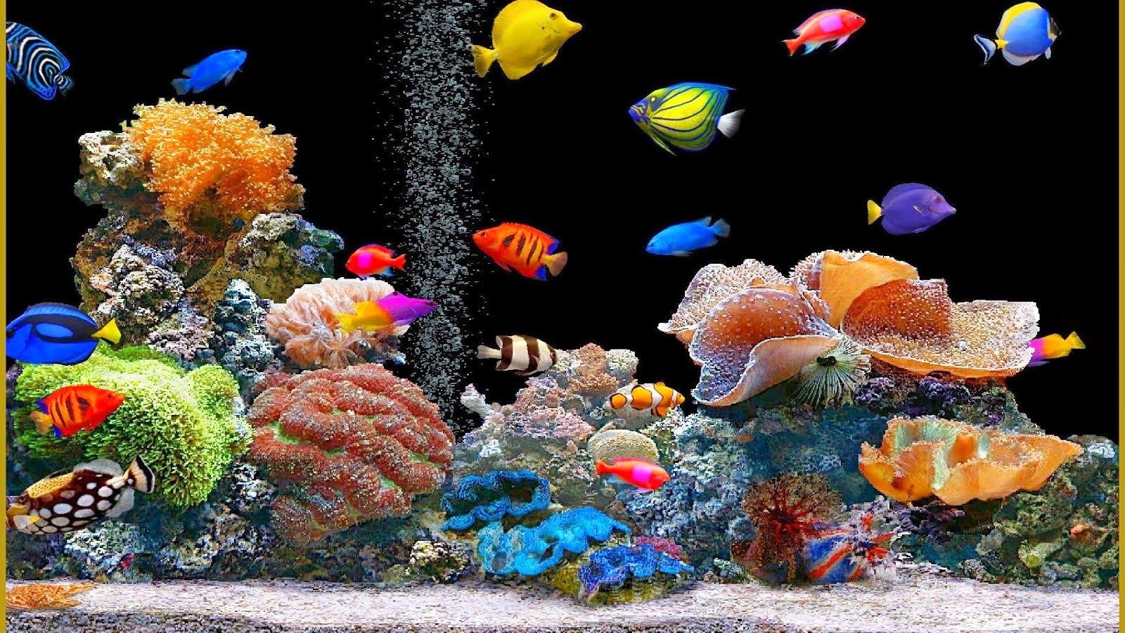 Animated Fish Tank - HD Wallpaper 