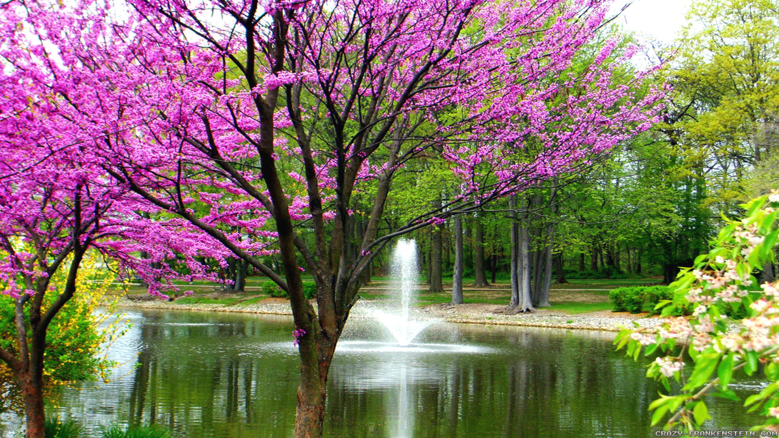 beautiful spring landscape wallpapers