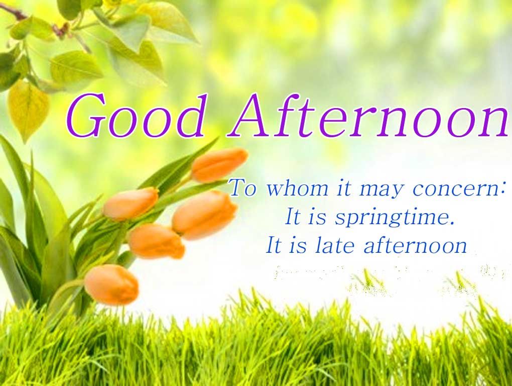Good Afternoon Quotes - HD Wallpaper 