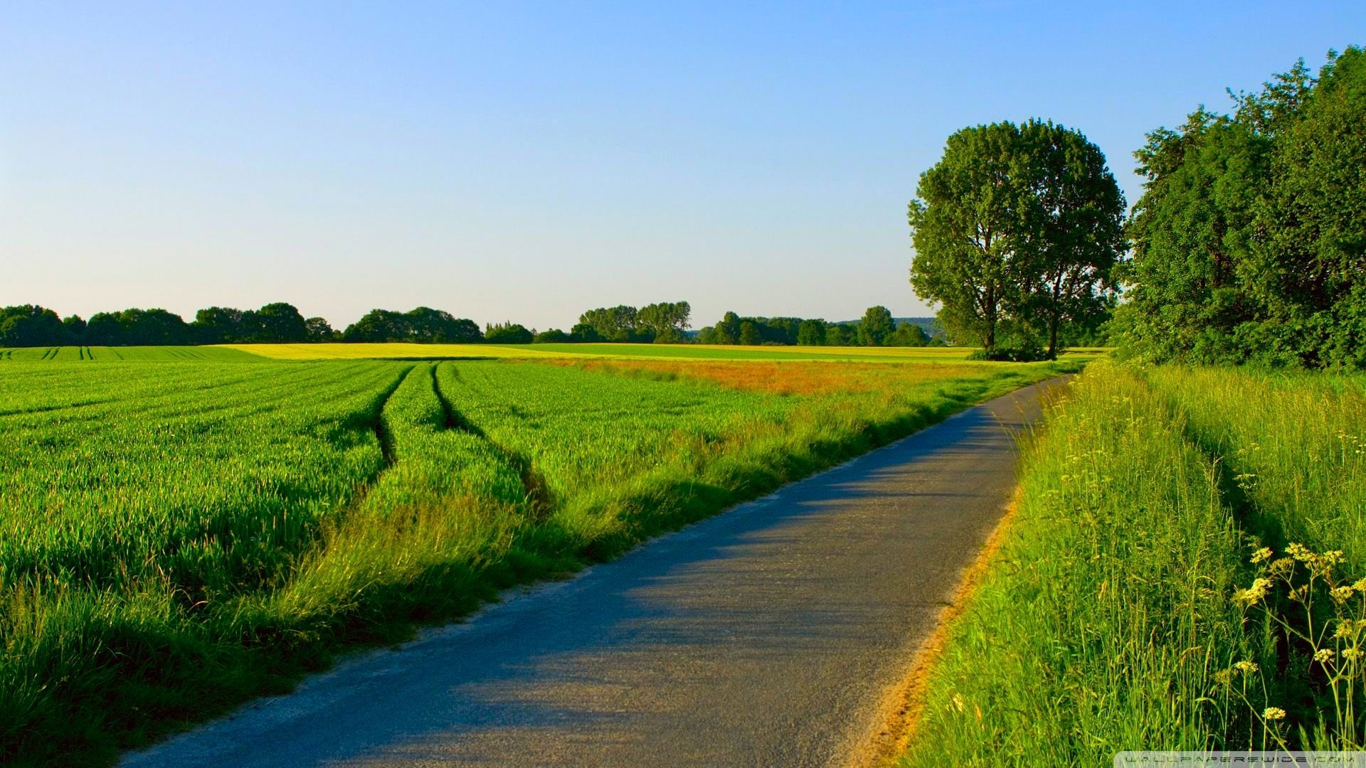 legeplads trompet Traktat 10 New Hd Desktop Wallpaper Nature Summer Full Hd 1080p - Pc Hd Wallpaper  Nature - 1920x1080 Wallpaper - teahub.io