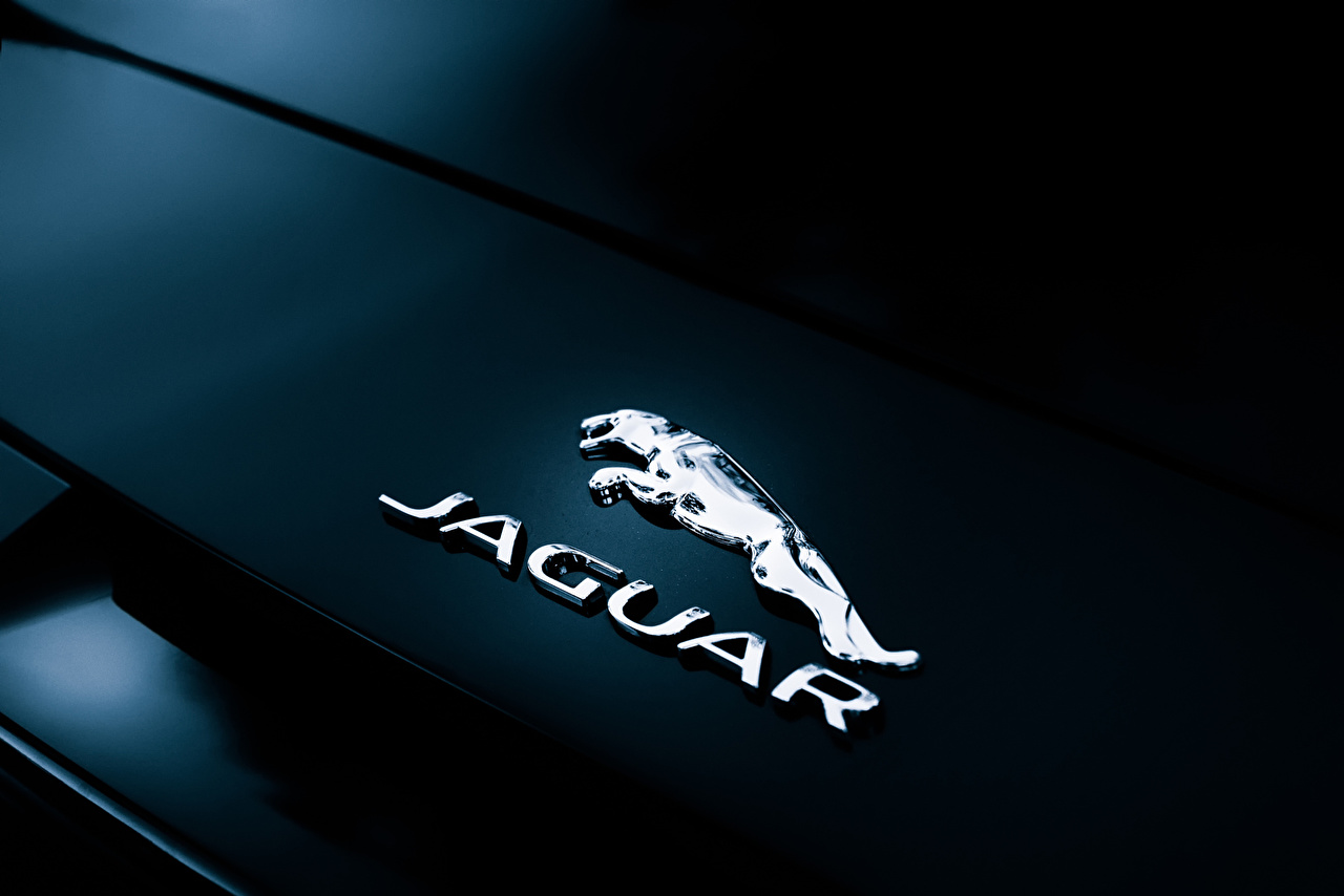 Jaguar - HD Wallpaper 