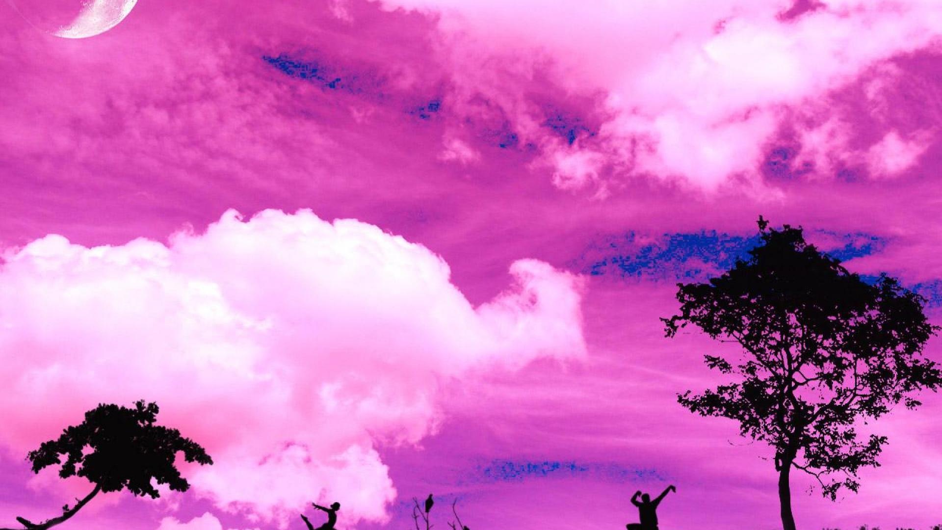 Background Wallpaper Pink Color - HD Wallpaper 