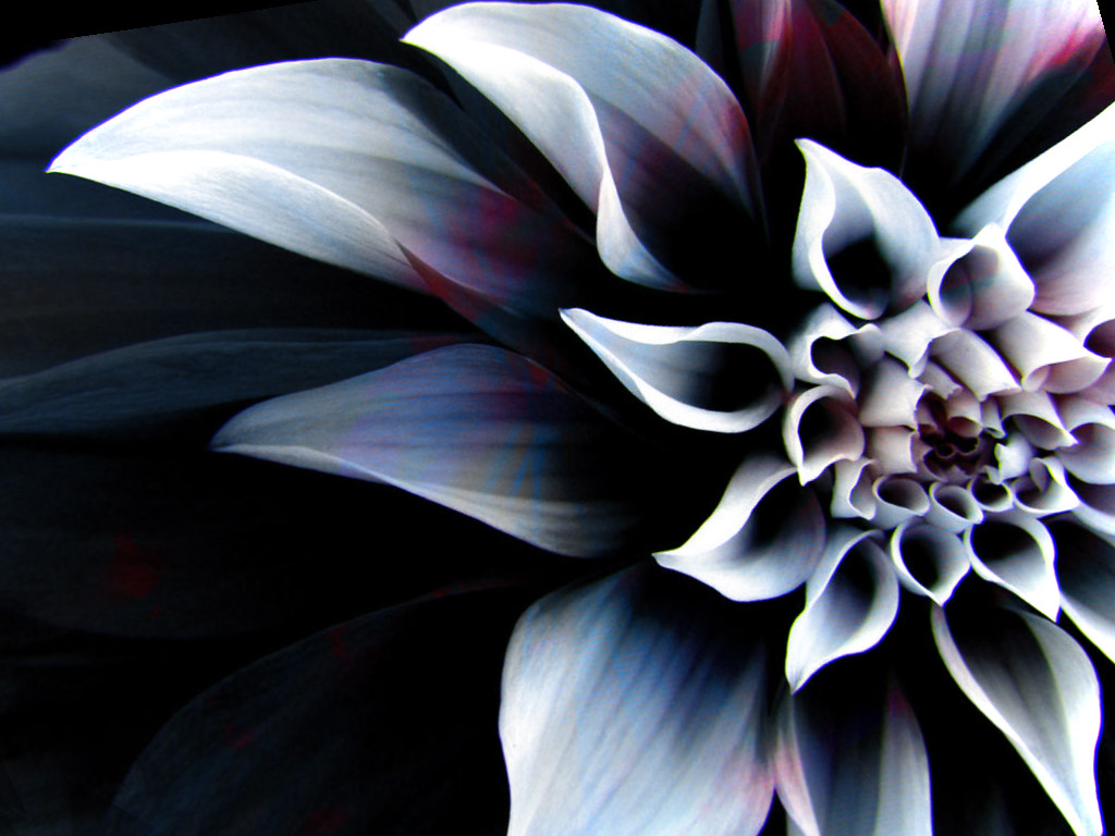 Top The Most Beautiful Wallpaper - Mediocrity Becomes The Accepted Norm - HD Wallpaper 