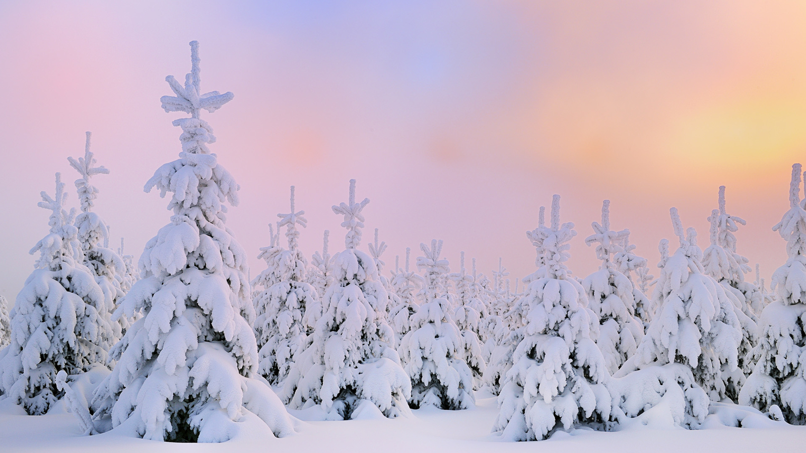 Winter Snow Desktop Wallpaper Hd - Snow Desktop Backgrounds - HD Wallpaper 