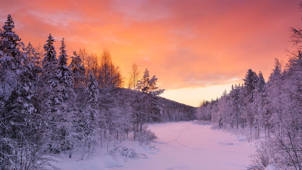 Lapland Snowy Background - HD Wallpaper 