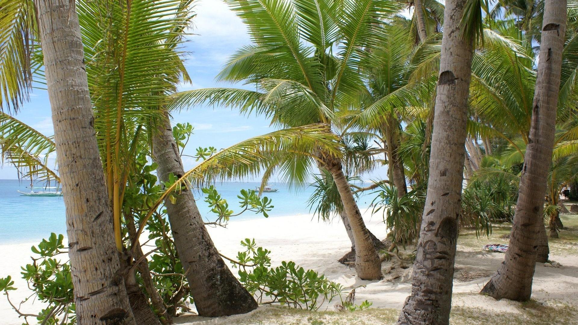 Latest Wallpapers For Desktop - HD Wallpaper 