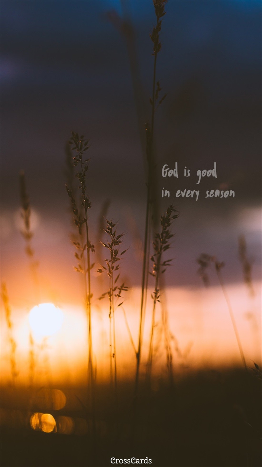 In Every Season Mobile Phone Wallpaper Data Src Best - Good Wallpaper For Phone - 1100x1956 Wallpaper In Every Season Mobile Phone Wallpaper Data Src Best - Good Wallpaper For Phone - 1100x1956 Wallpaper