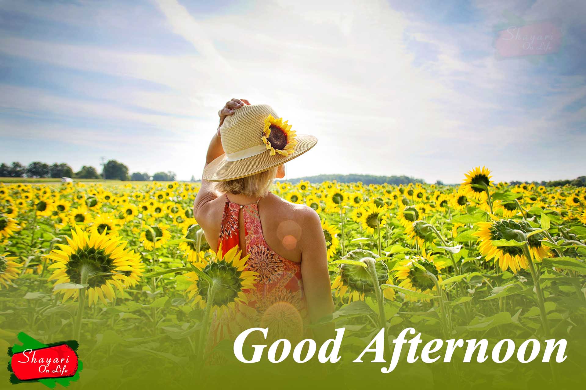 Good Afternoon Quotes Wishe - Good Afternoon Message - HD Wallpaper 