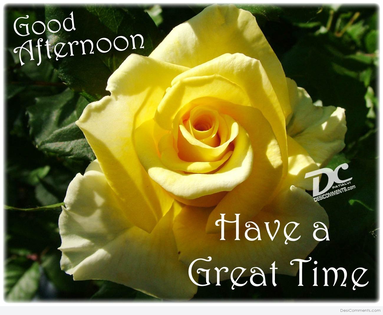 Shyari Good After Noon - HD Wallpaper 