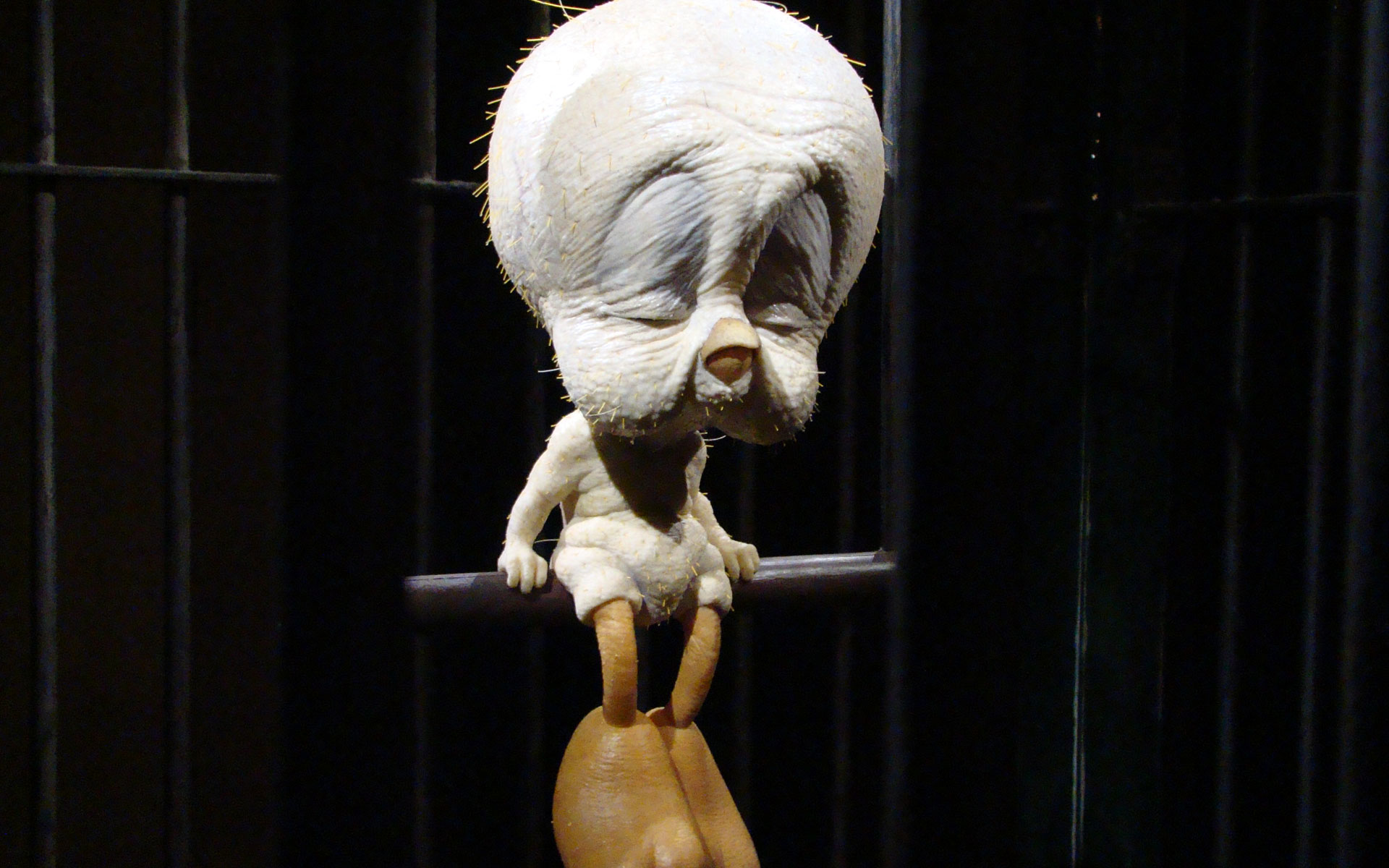 Humor Weird Wallpaper Humor, Weird - Banksy Tweety Bird - HD Wallpaper 