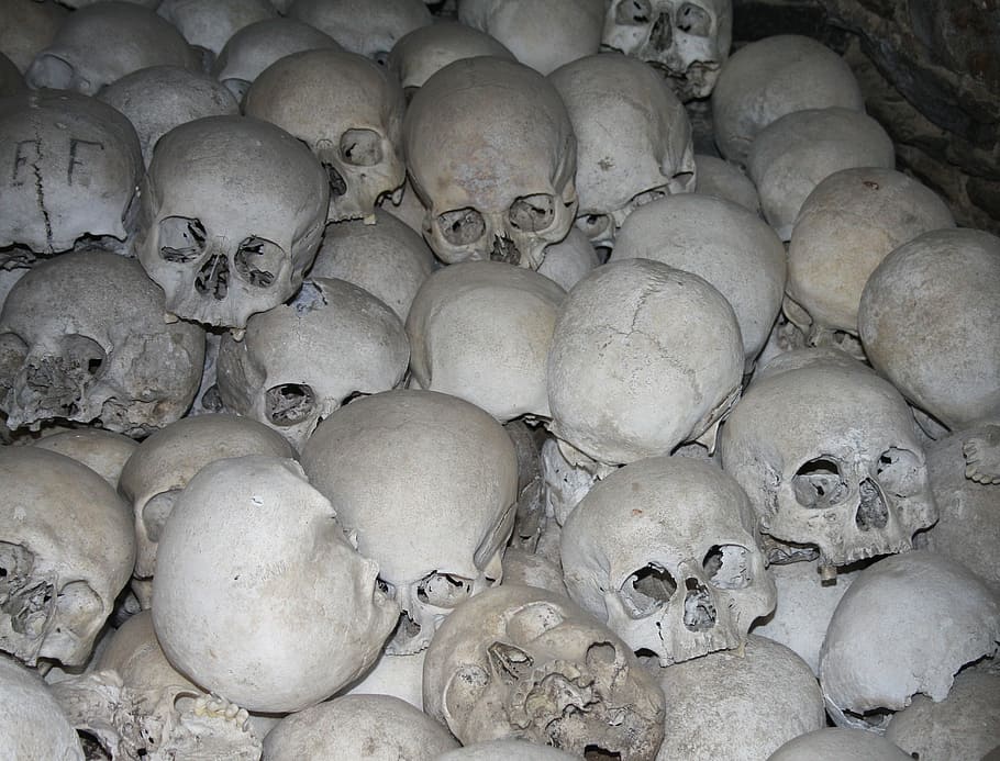 White Skull Lot In Dark Place, Skull And Crossbones, - Skulls 1st World War - HD Wallpaper 