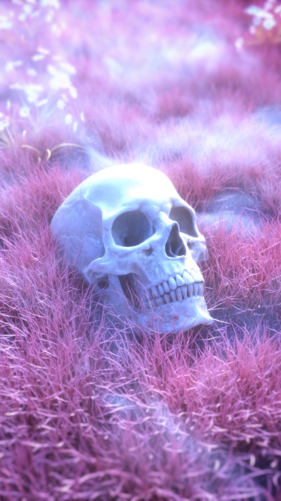 Wallpaper Skull, Skeleton, Grass, Pink - Skeleton Background - HD Wallpaper 