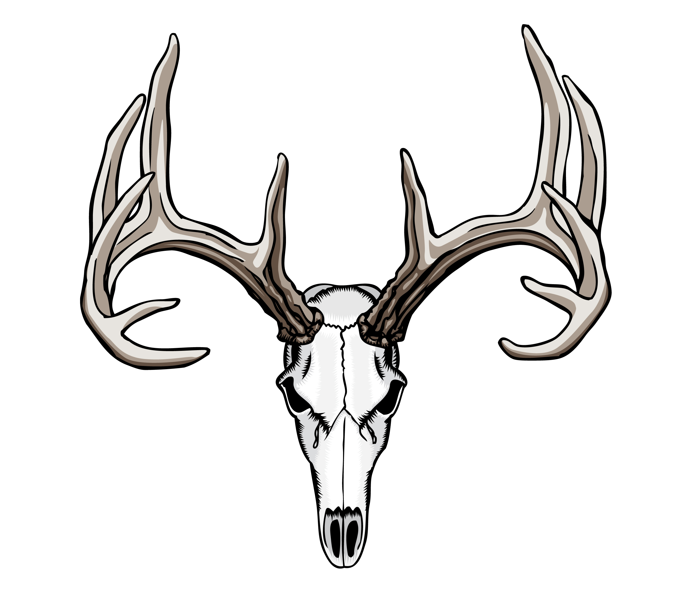 Whitetail Deer Skull Tattoos Art Nouveau Deer - 2800x2400 Wallpaper -  