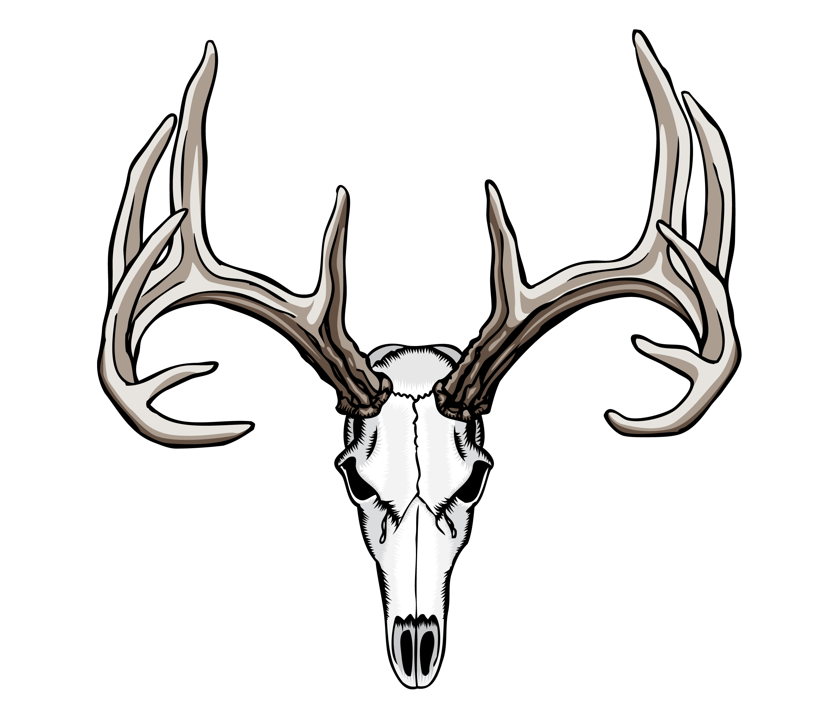 Whitetail Deer Skull Tattoos Art Nouveau Deer - HD Wallpaper 