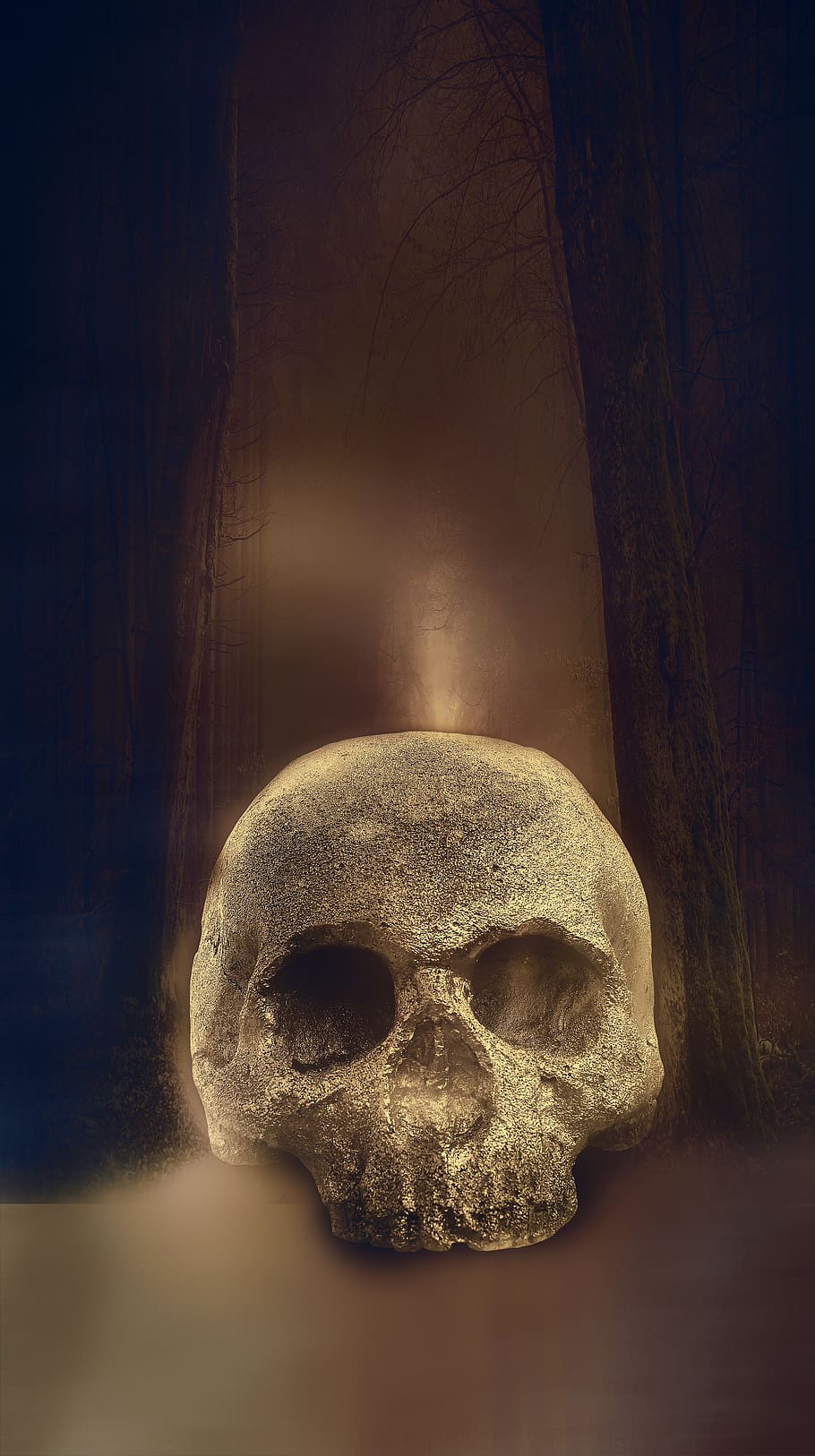 Skull, Skeleton, Horror, Halloween, Scary, Background, - Scheletro Horror - HD Wallpaper 
