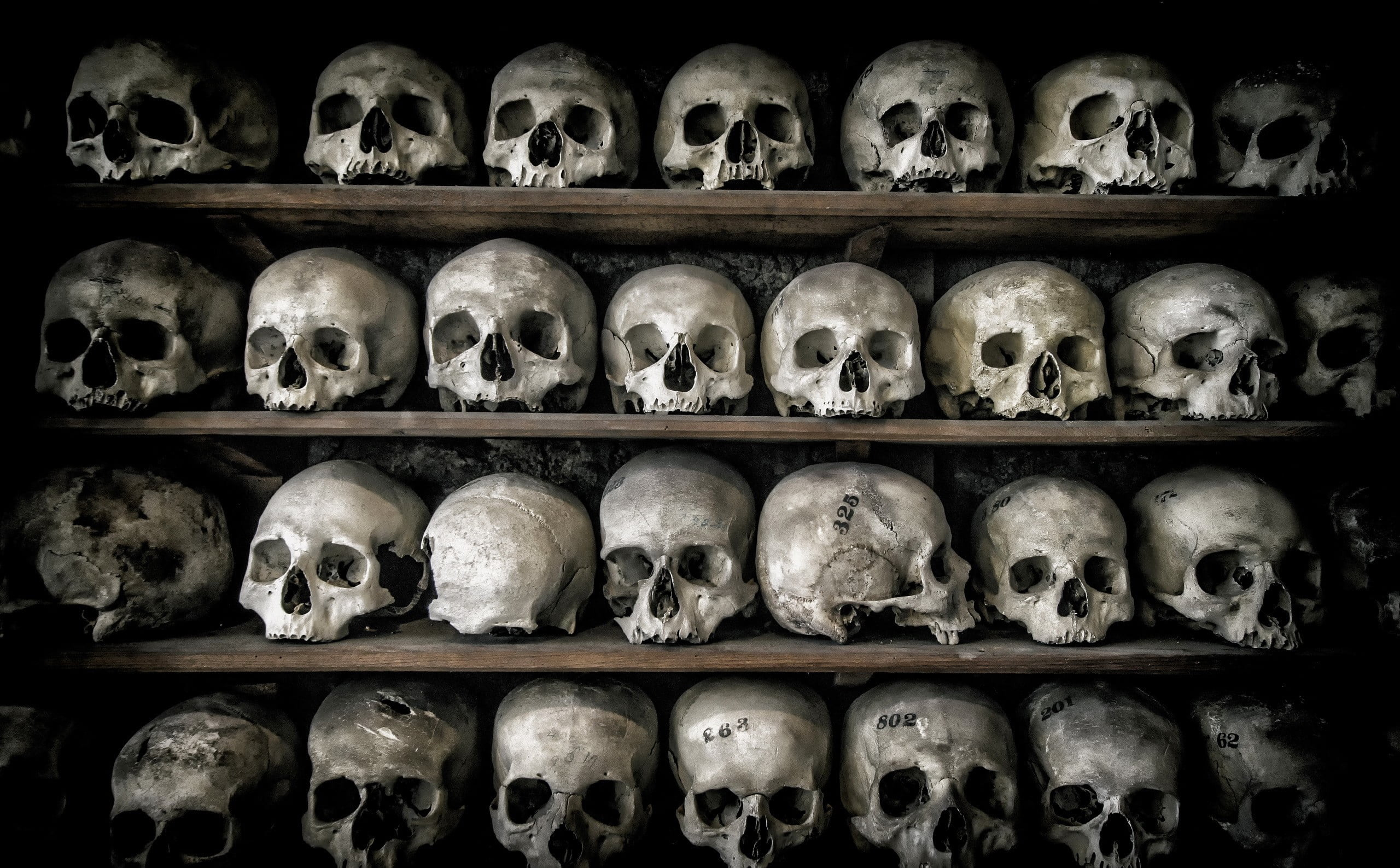 Skulls And Bones Wallpaper Hd - HD Wallpaper 
