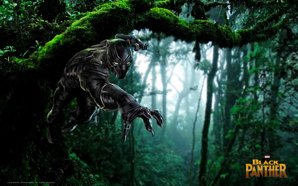 Black Panther Jungle Marvel 1024x640 Wallpaper teahub.io