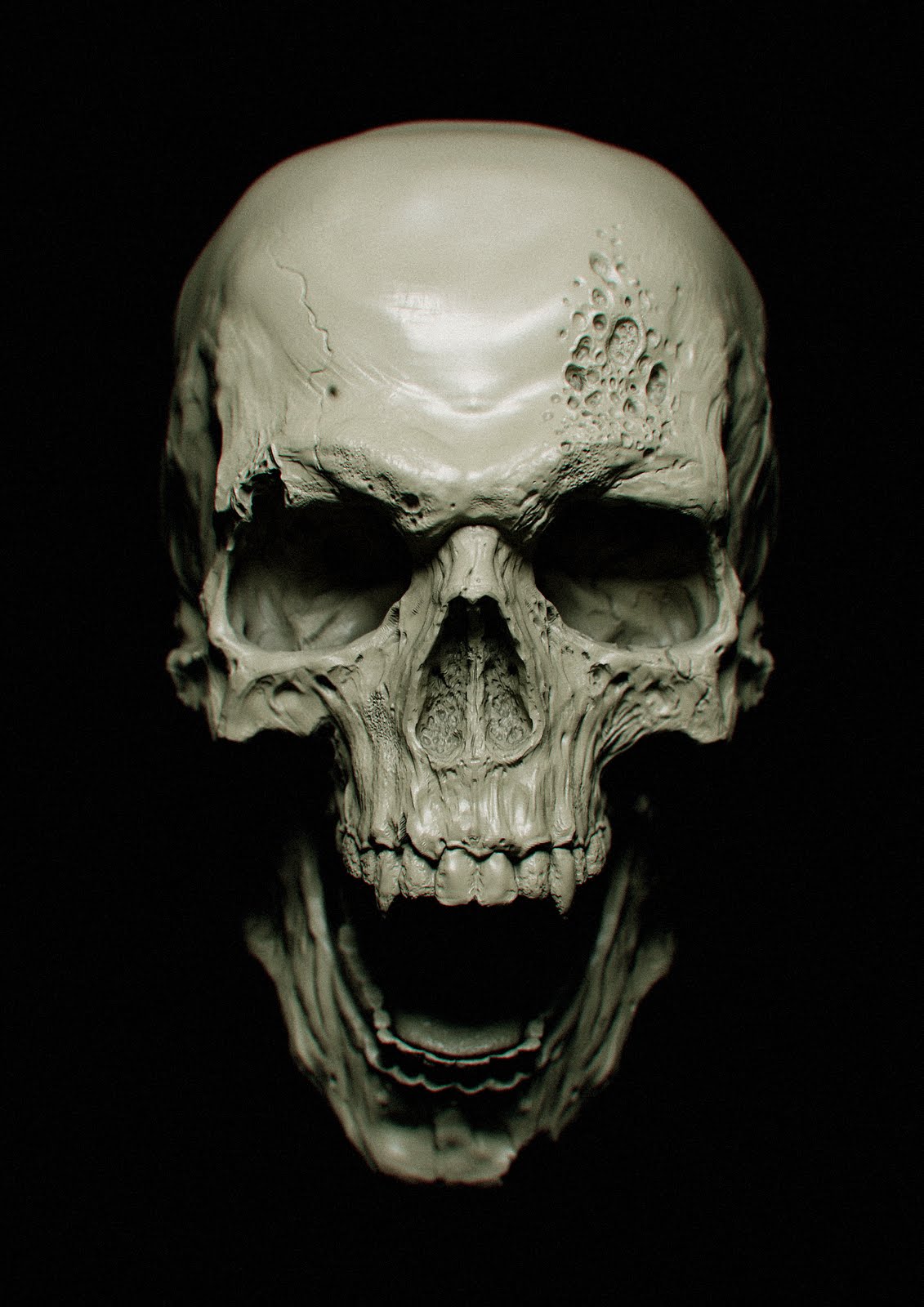 Skull - HD Wallpaper 