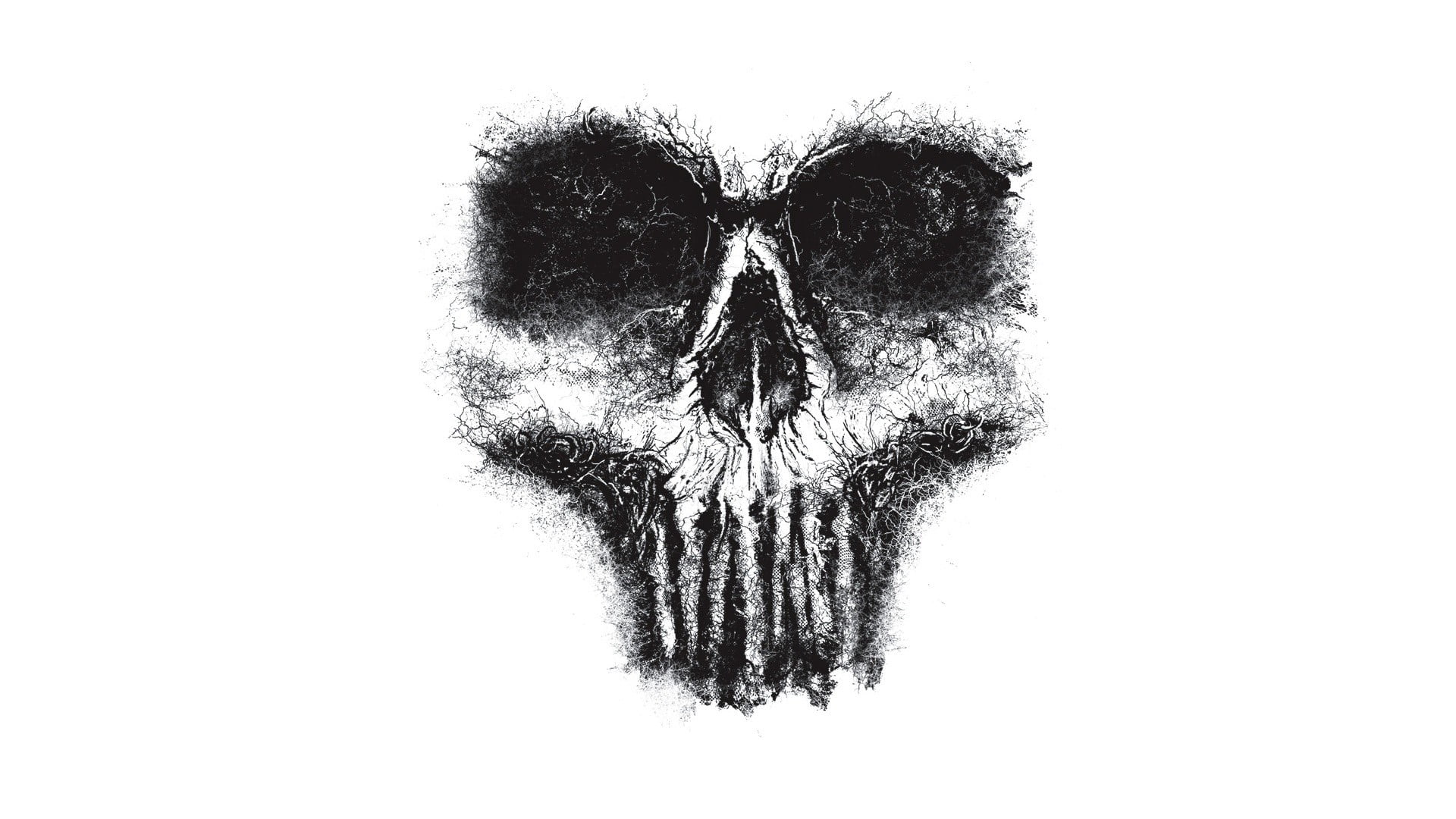 Minimal Skull - HD Wallpaper 