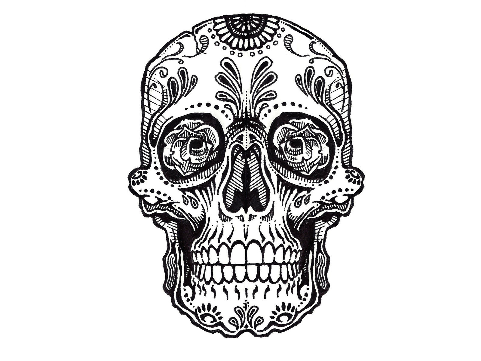 Skull Tattoo Design Hq Backgrounds Hd Wallpapers Gallery - Cute Sugar Skull Designs - HD Wallpaper 