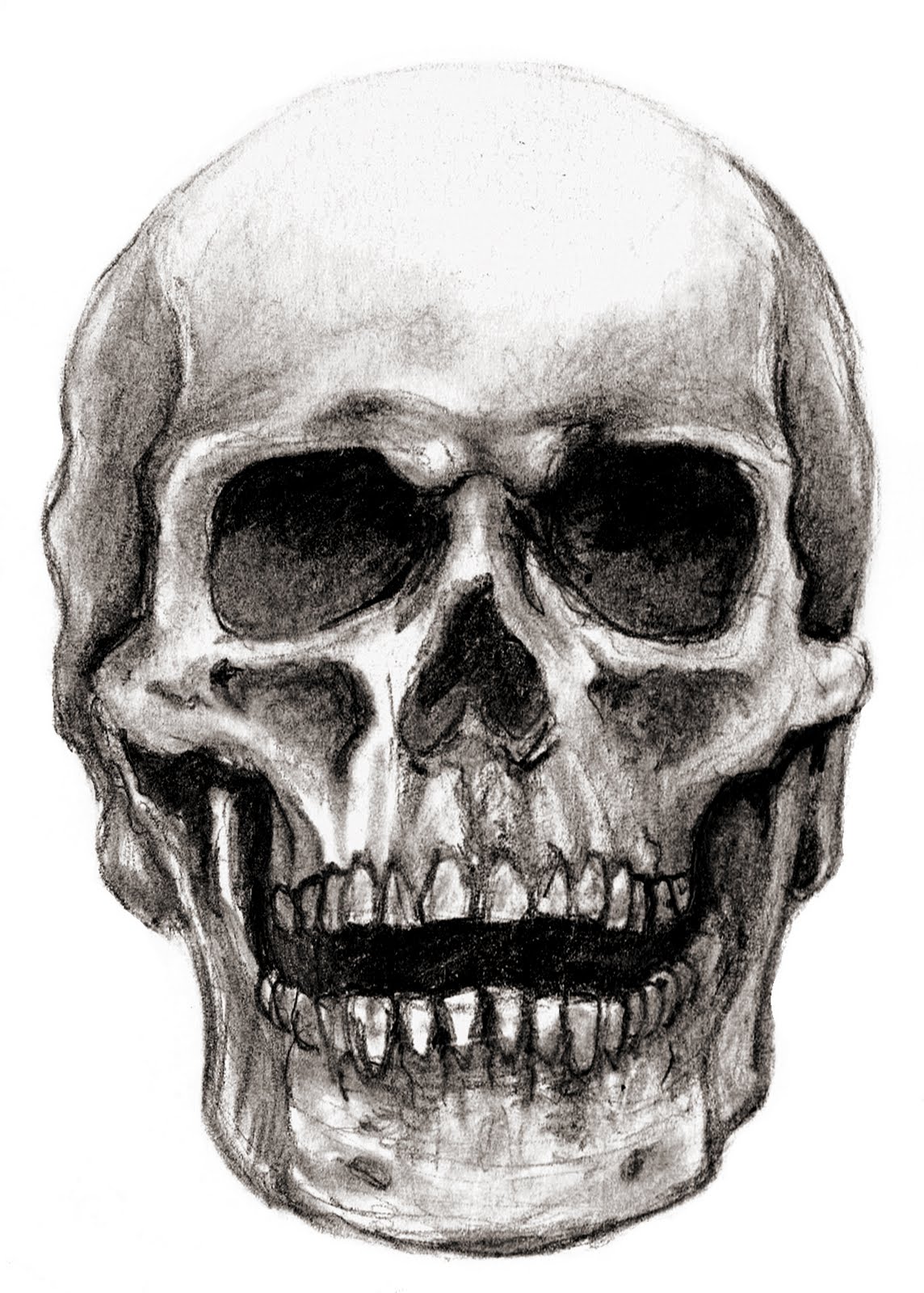 Skull - HD Wallpaper 