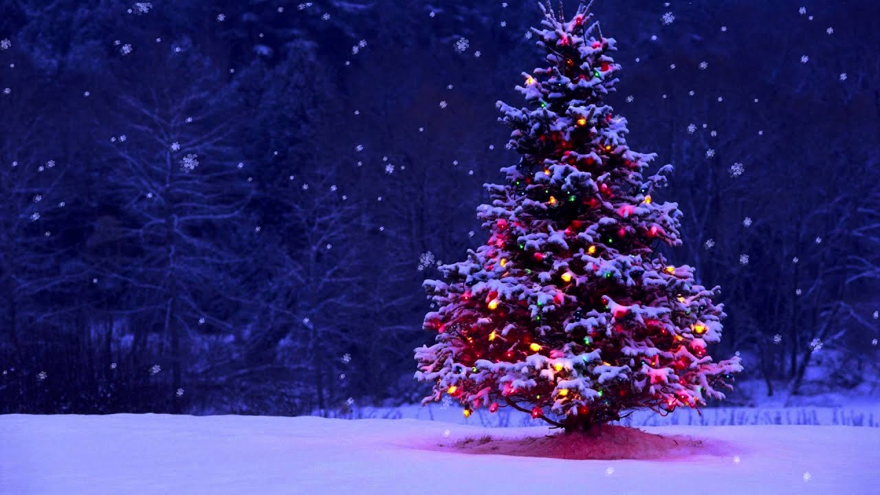 Christmas Tree In Snow Background - HD Wallpaper 