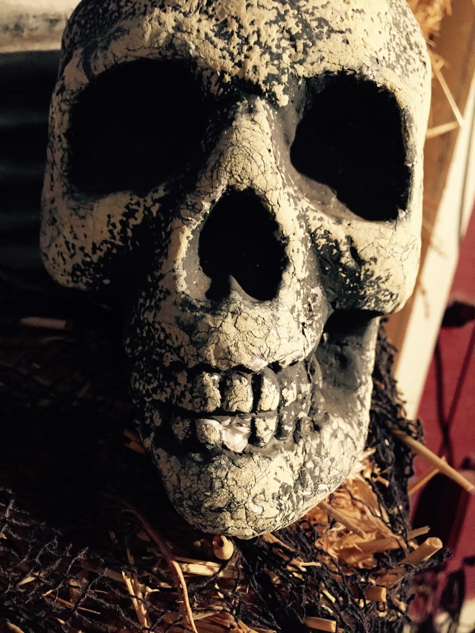 Skull, Halloween Background, Halloween, Close-up, Human - William Millman And Mary Tuplin - HD Wallpaper 