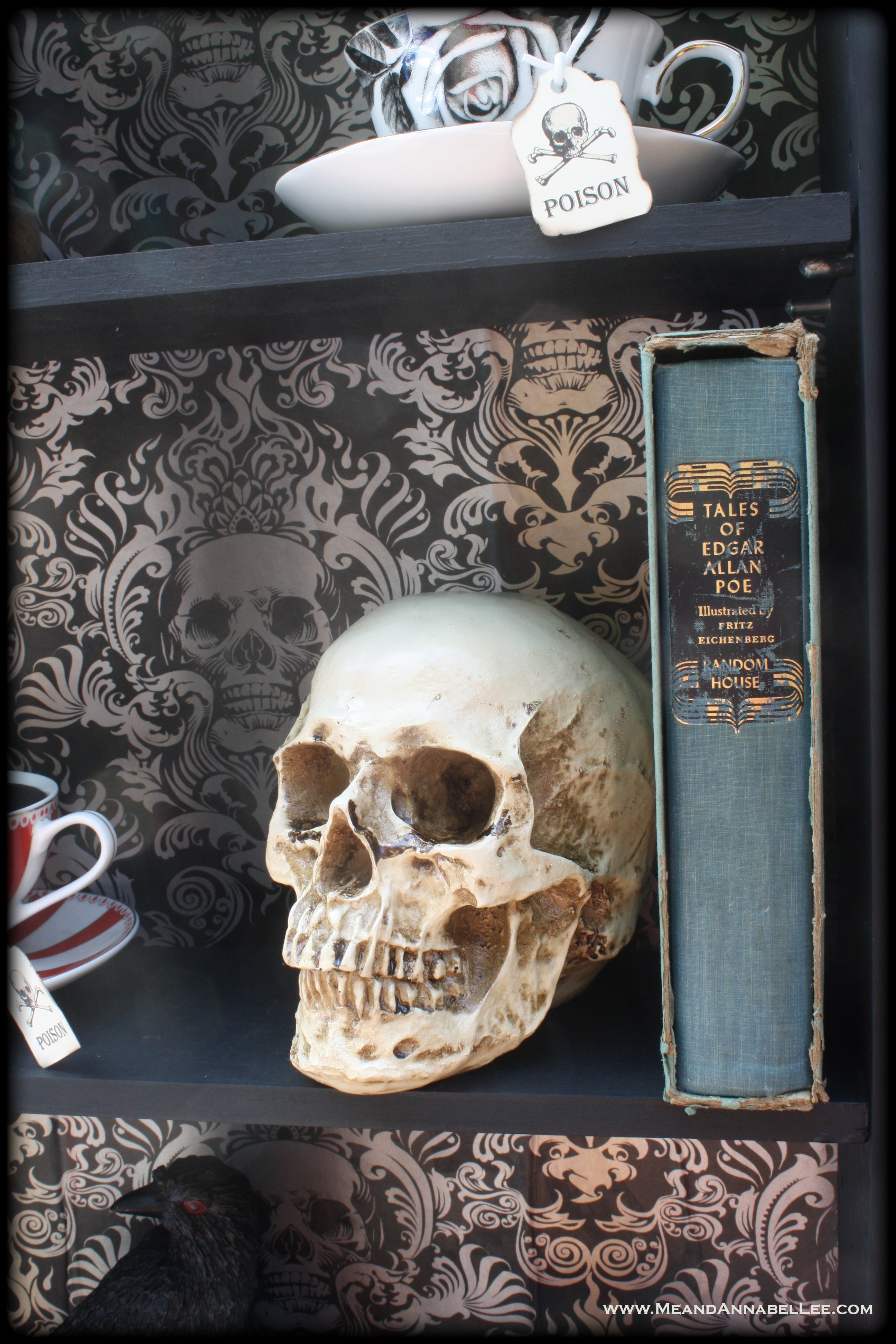 Diy Gothic Skull Bookcase - Skull - HD Wallpaper 
