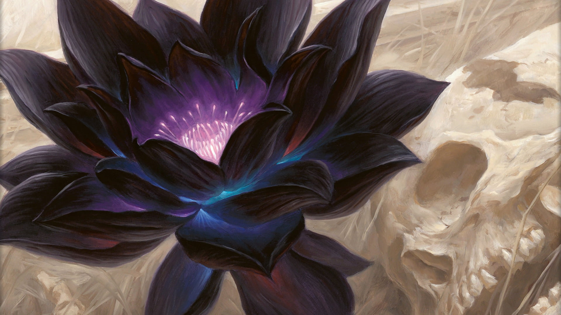 Black Lotus - HD Wallpaper 