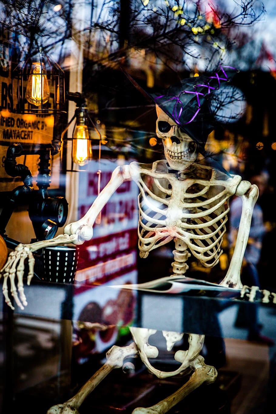 Halloween, Skeleton, Spooky, Scary, Fun, October, Horror, - HD Wallpaper 