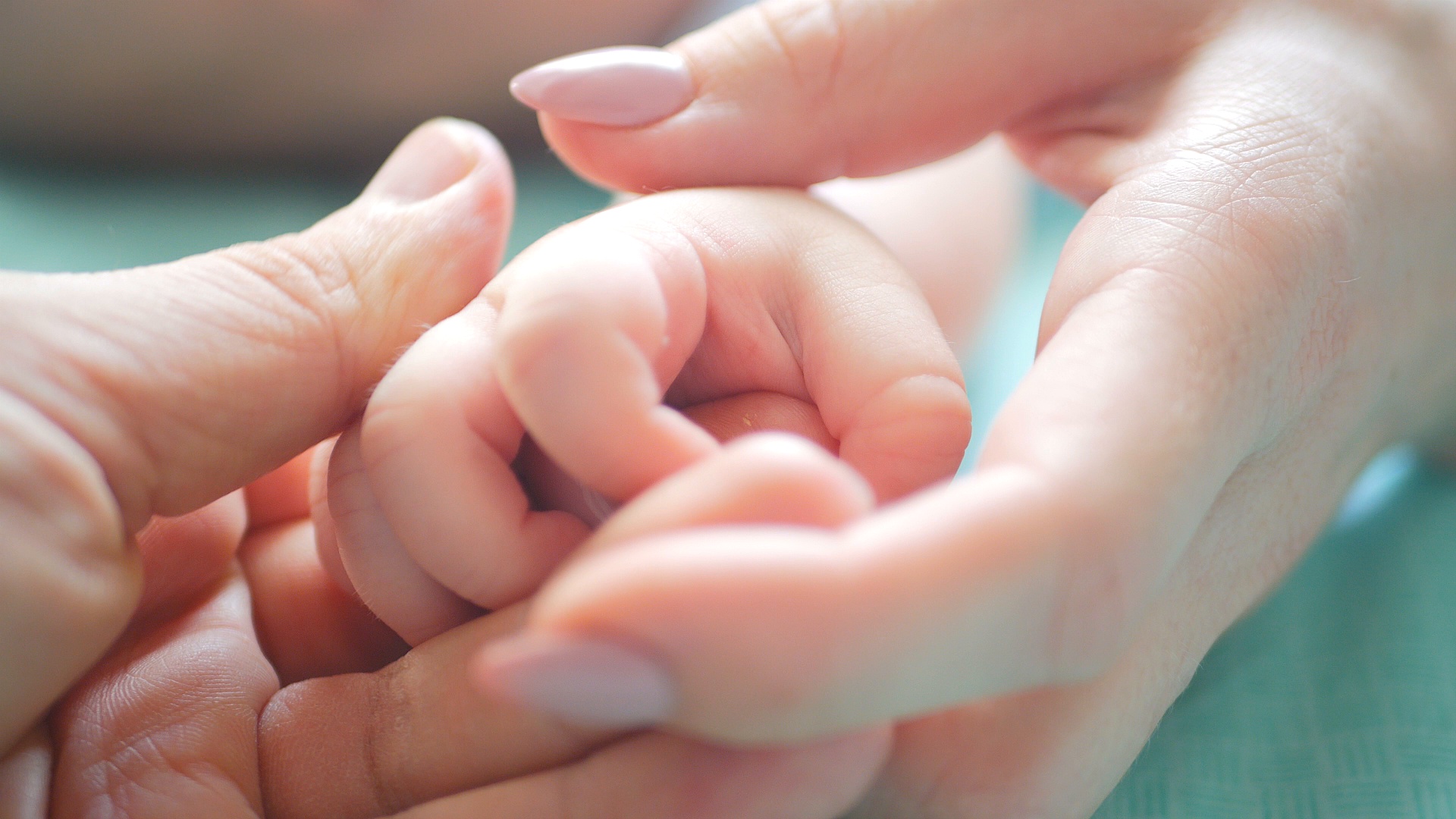 Macro Photography - HD Wallpaper 