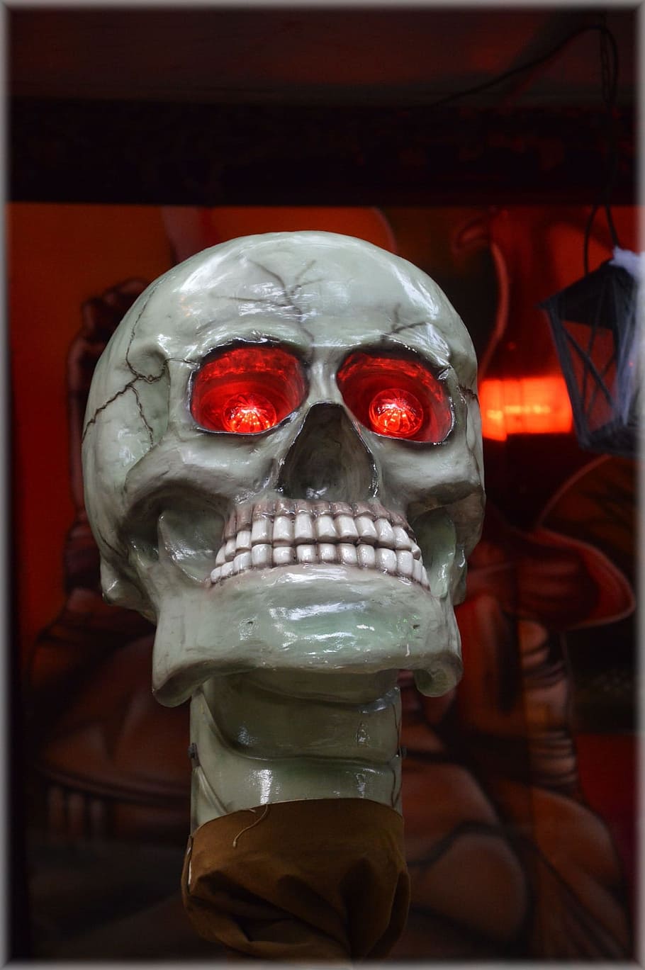 Skull, Scary, Horror, Death, Spooky, Halloween, Skeleton, - HD Wallpaper 