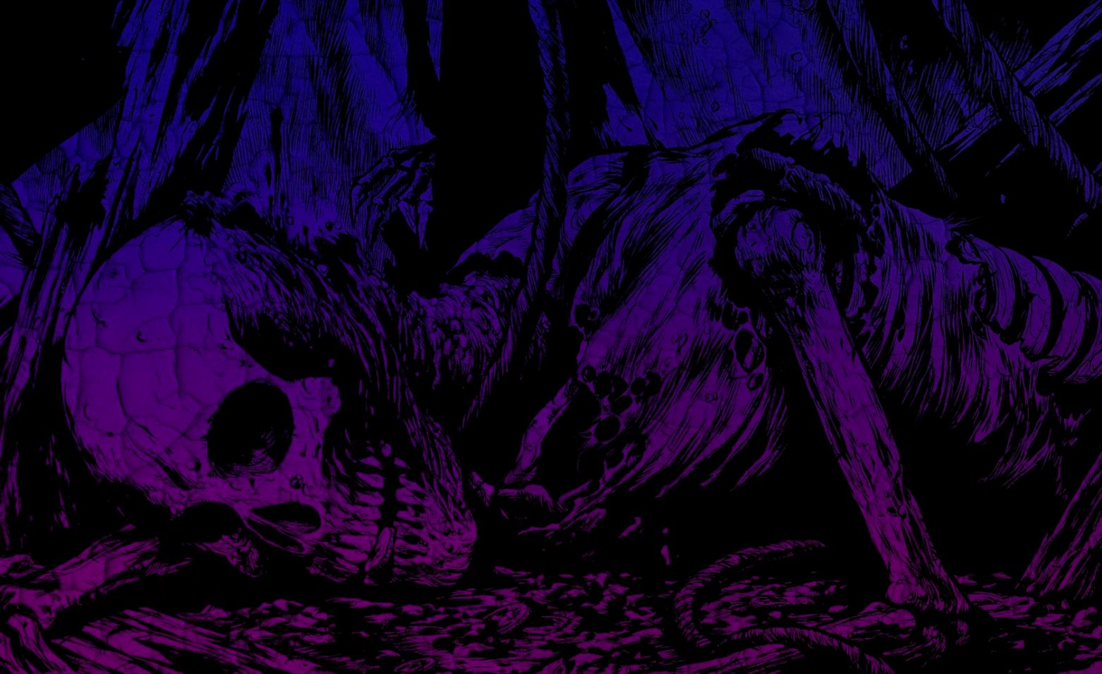 Purple Skull Wallpaper 1562x955, - Scheletul Uman - HD Wallpaper 