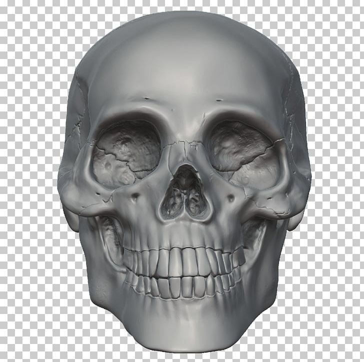 Skull Skeleton Head Png, Clipart, Adventure, Anatomy, - Facebook Like Reaction Icon - HD Wallpaper 