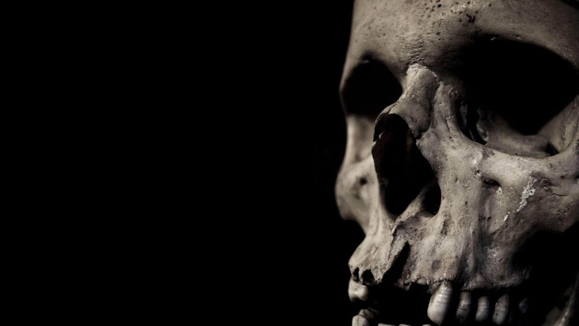 Skull Photo Black Background - HD Wallpaper 