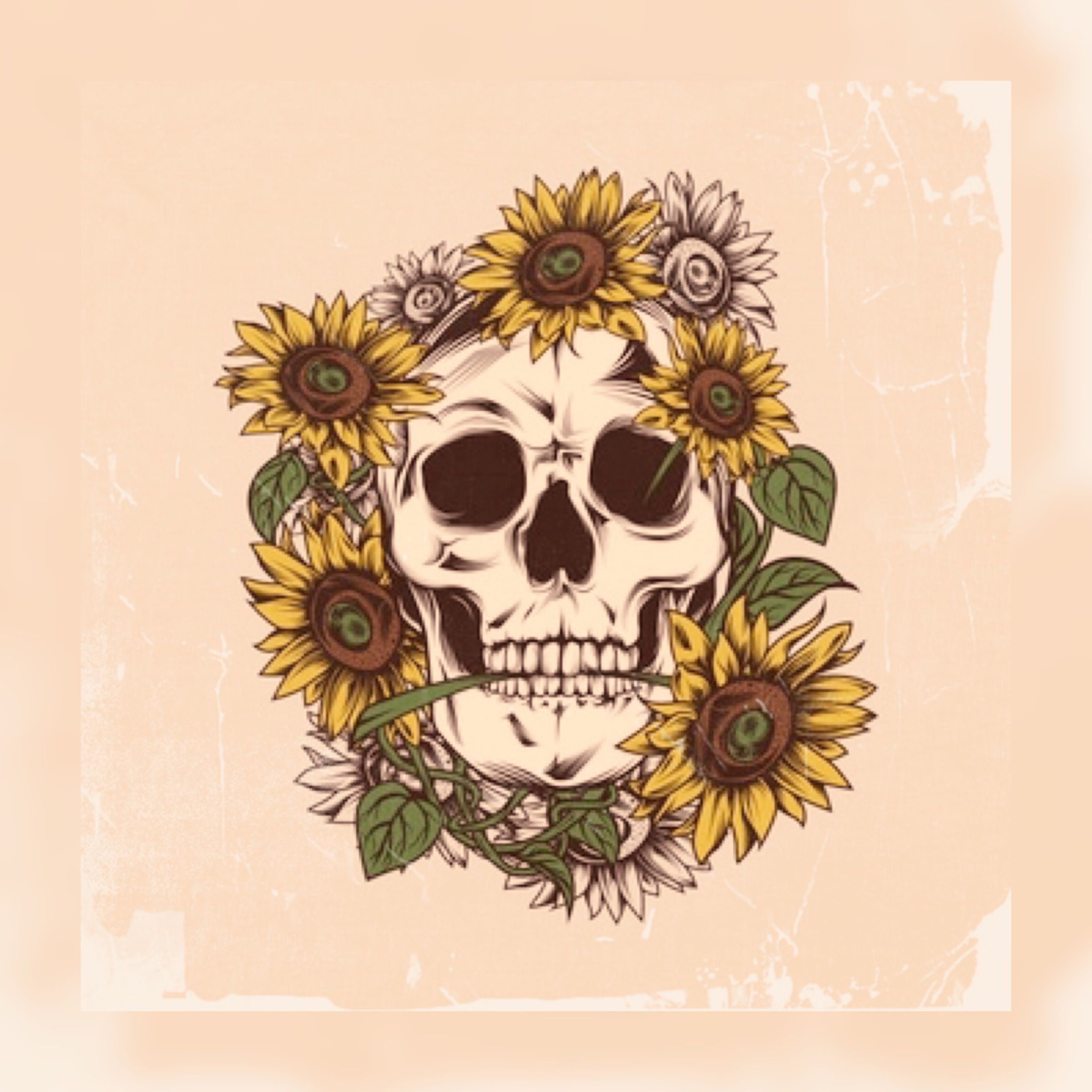 Flower Drawing Sugar Skull - HD Wallpaper 