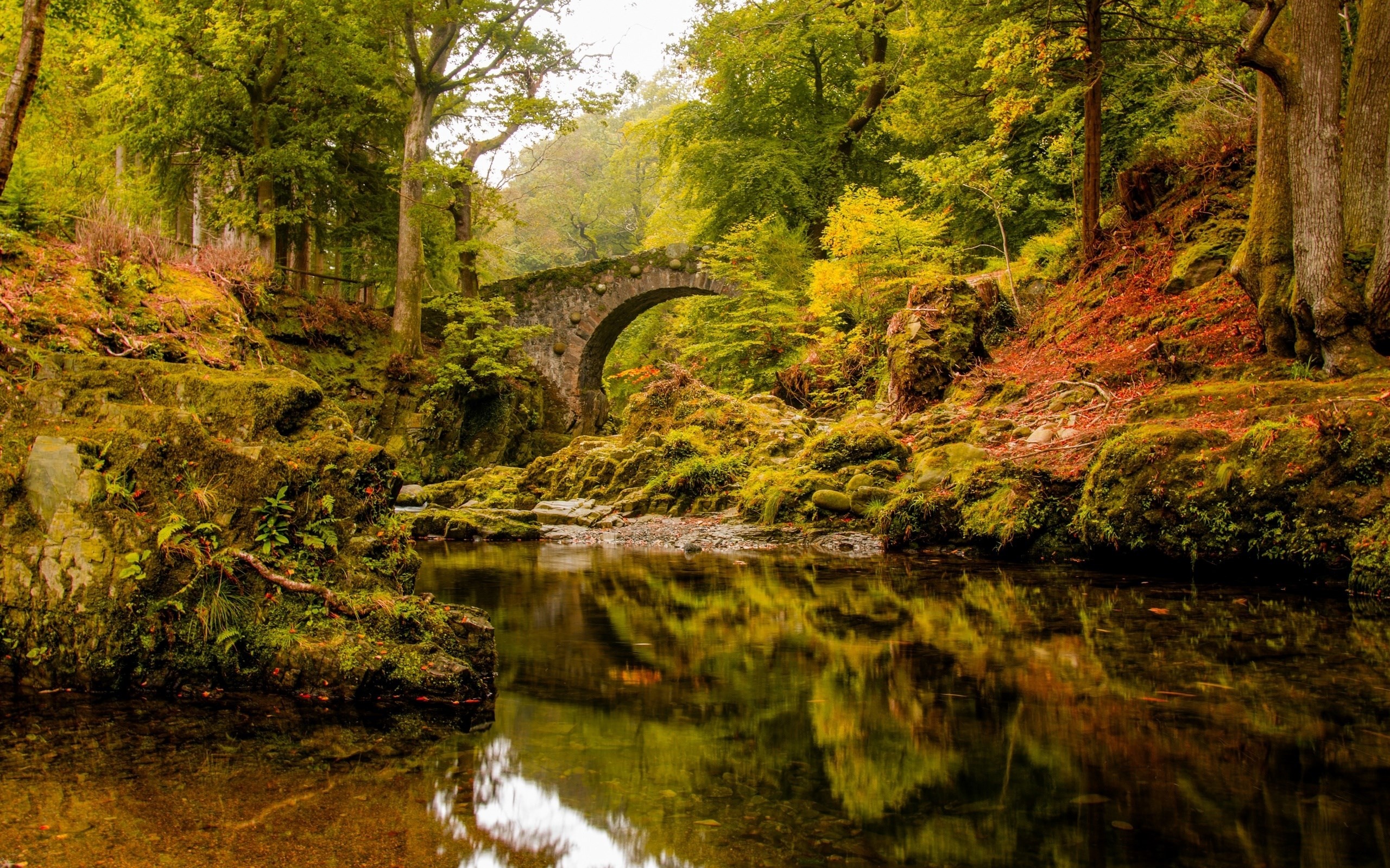 Bridge Desktop Nexus Wallpaper 
 Data Src Widescreen - Old Bridge In The Forest - HD Wallpaper 