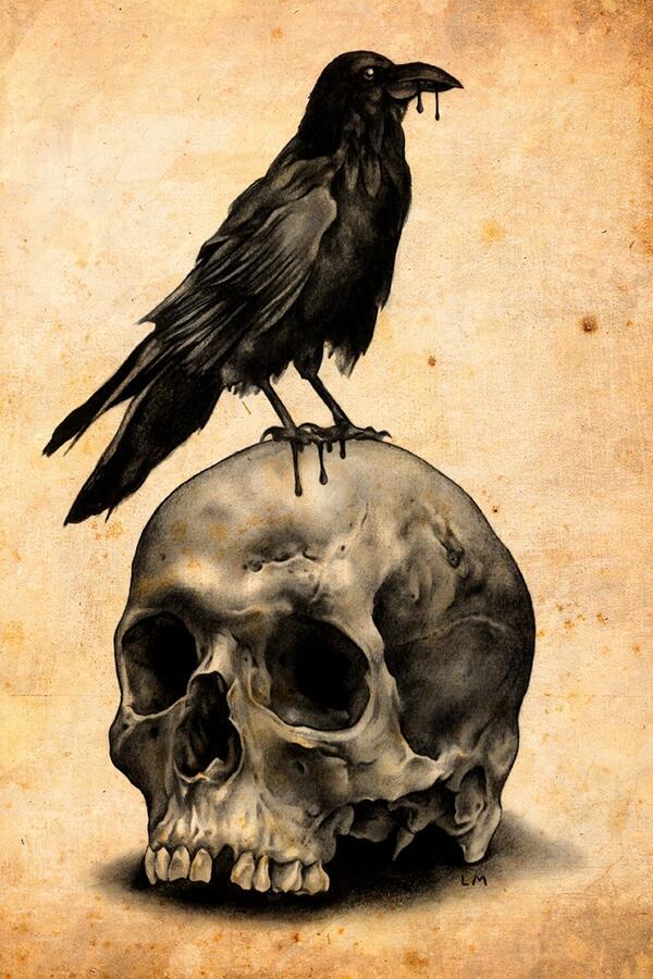 Crow Sitting On Skull - HD Wallpaper 