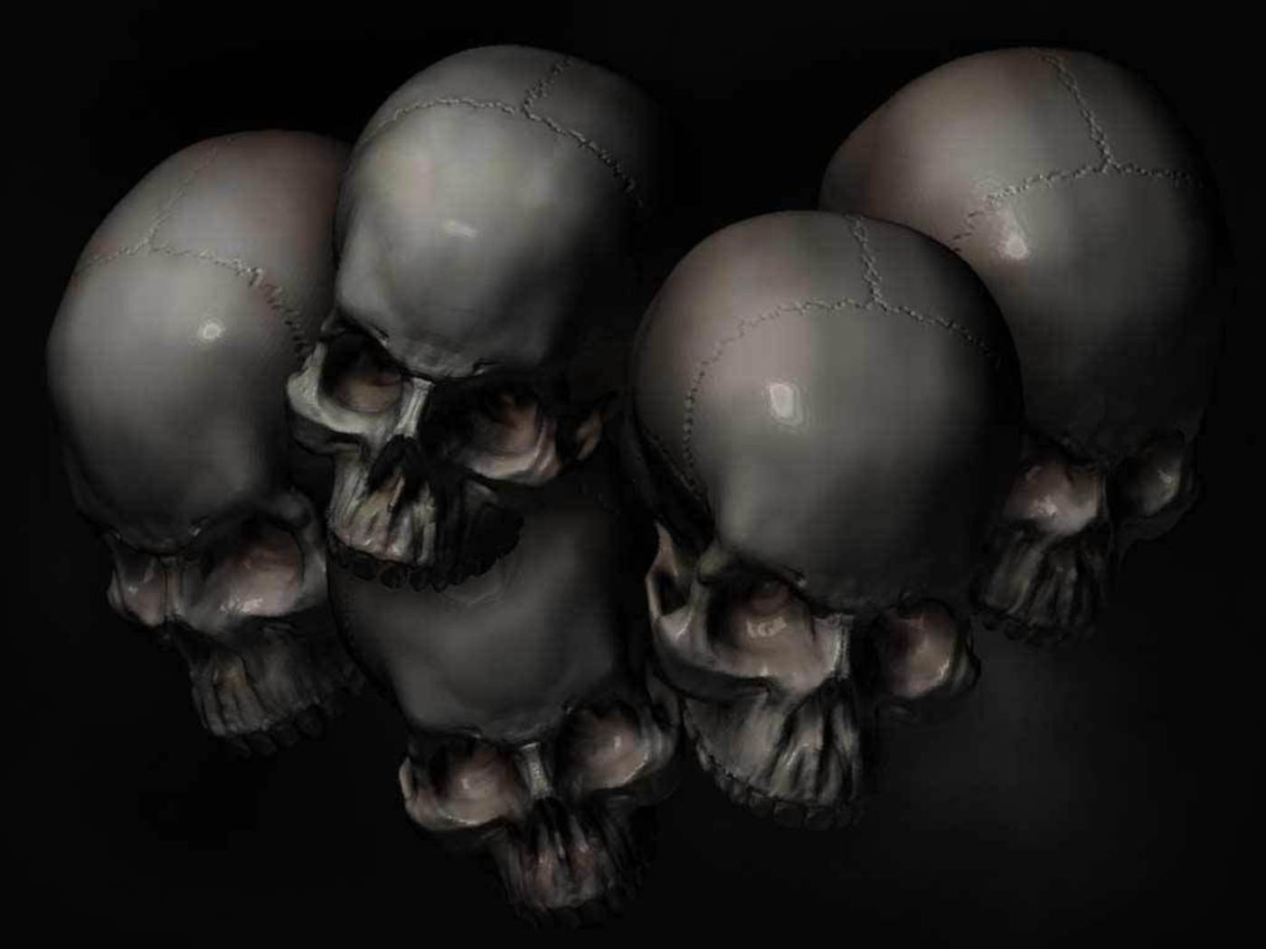 Wallpapers Skull - Skulls - HD Wallpaper 
