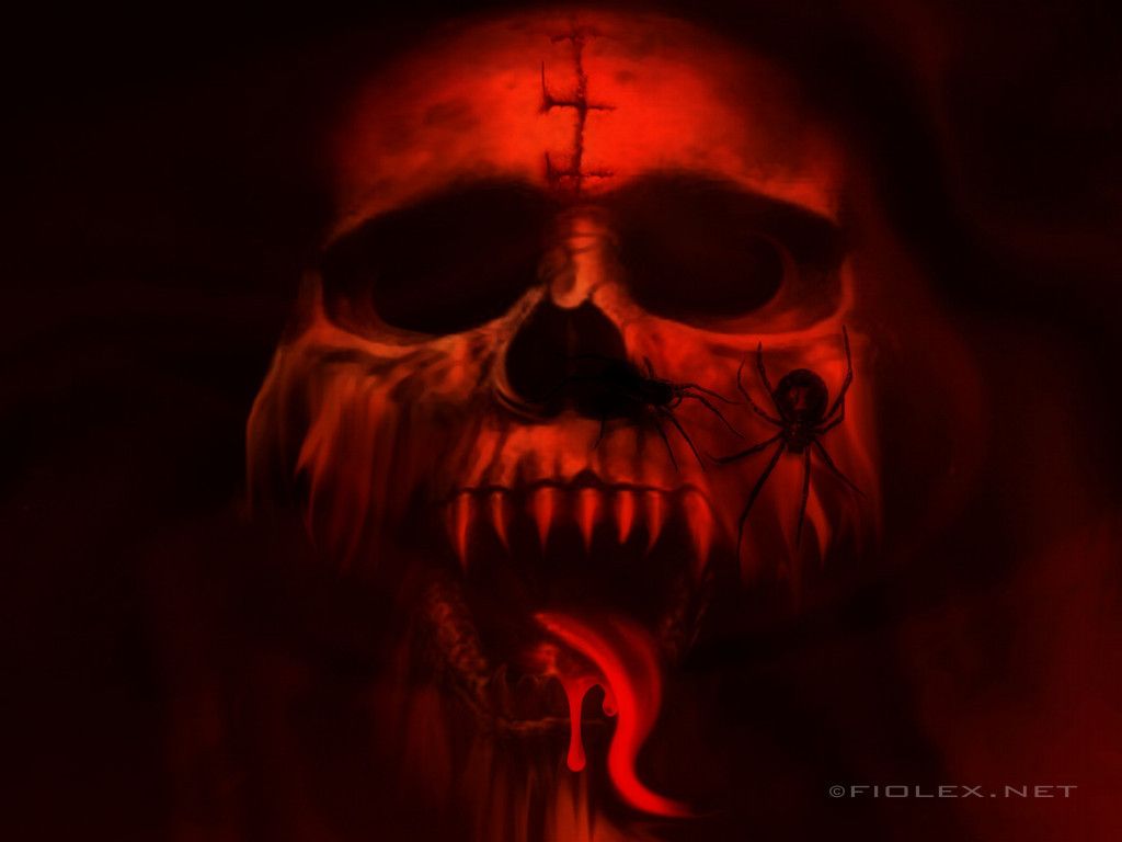 Vampire Skull - HD Wallpaper 