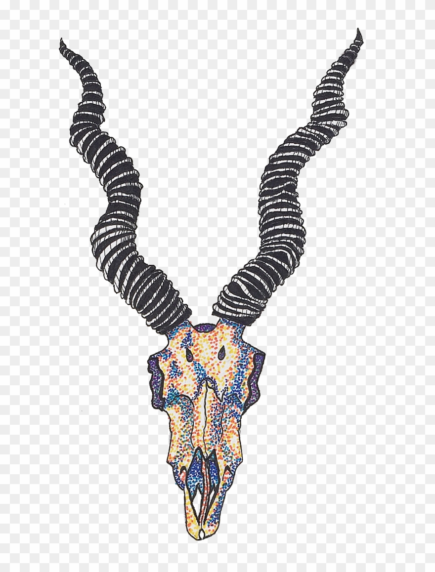 Cute-skull - Drawing - HD Wallpaper 