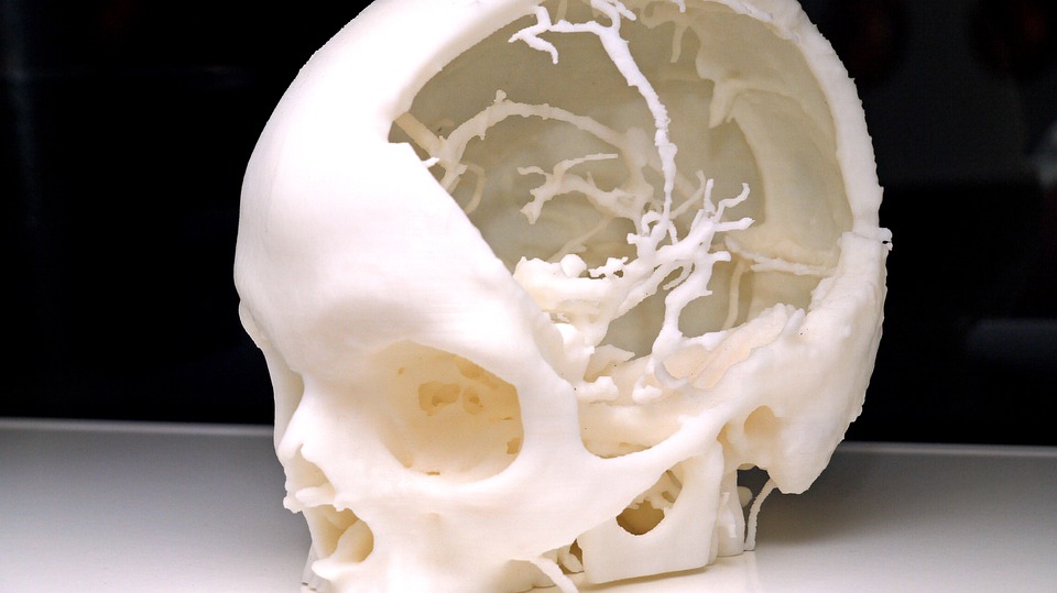 Skull - HD Wallpaper 