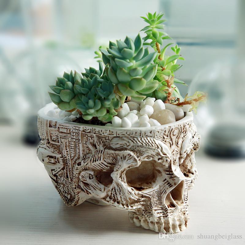 Skull Succulent - HD Wallpaper 