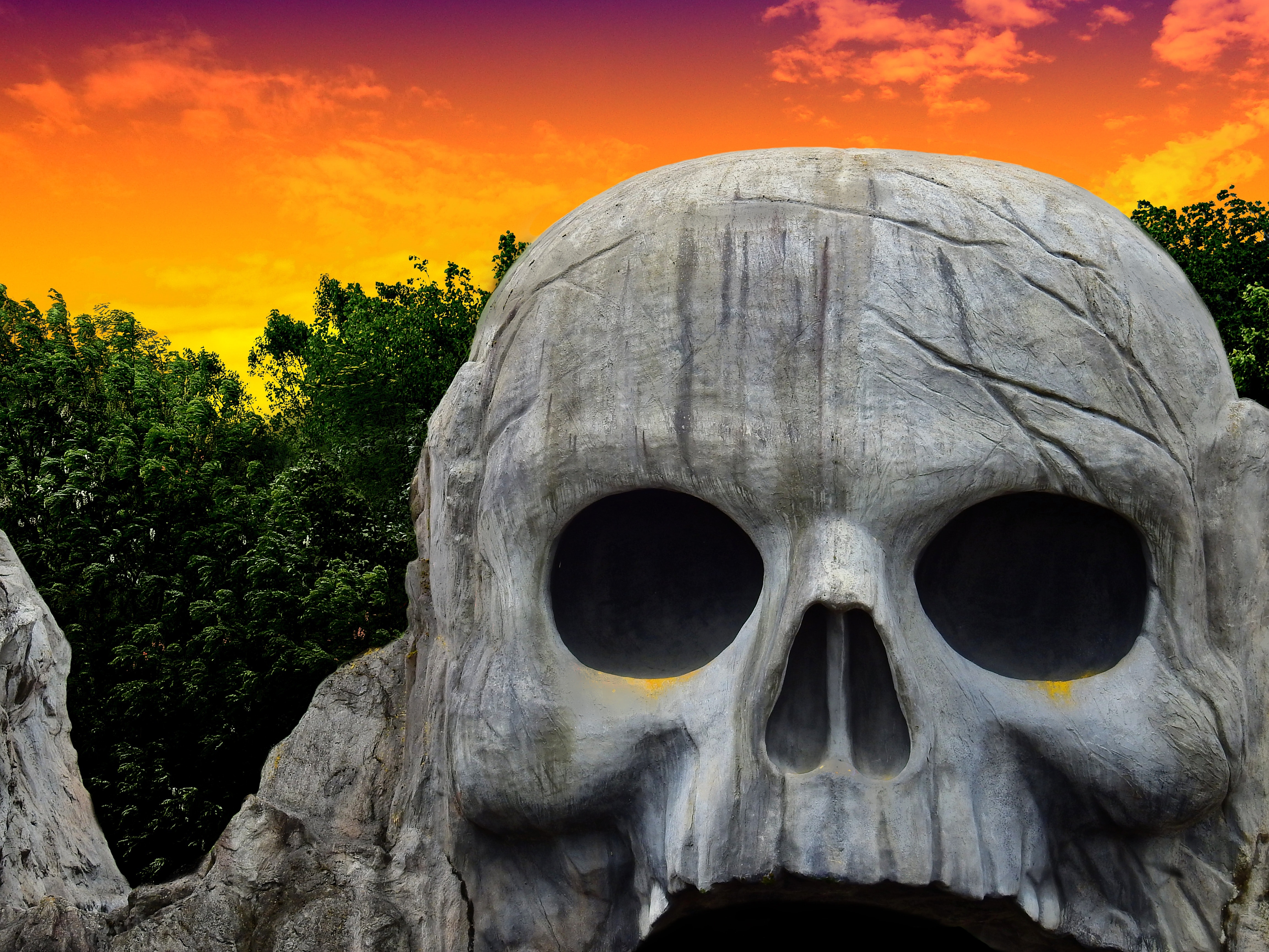 Skull - HD Wallpaper 